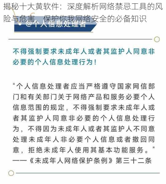 揭秘十大黄软件：深度解析网络禁忌工具的风险与危害，保护你我网络安全的必备知识