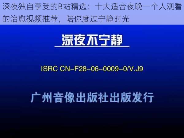 深夜独自享受的B站精选：十大适合夜晚一个人观看的治愈视频推荐，陪你度过宁静时光