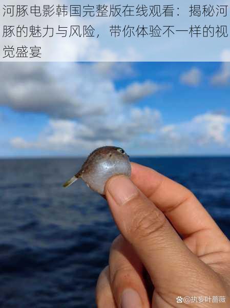 河豚电影韩国完整版在线观看：揭秘河豚的魅力与风险，带你体验不一样的视觉盛宴