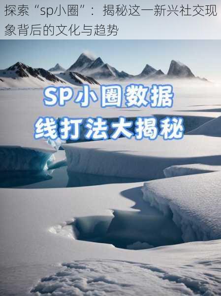 探索“sp小圈”：揭秘这一新兴社交现象背后的文化与趋势