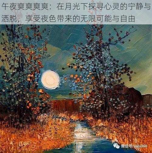 午夜爽爽爽爽：在月光下探寻心灵的宁静与洒脱，享受夜色带来的无限可能与自由