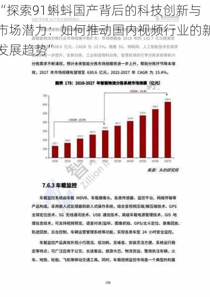 “探索91蝌蚪国产背后的科技创新与市场潜力：如何推动国内视频行业的新发展趋势”