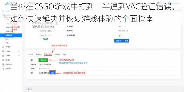 当你在CSGO游戏中打到一半遇到VAC验证错误，如何快速解决并恢复游戏体验的全面指南