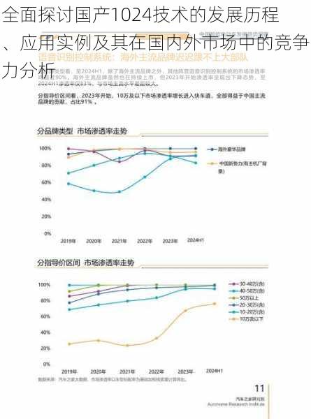 全面探讨国产1024技术的发展历程、应用实例及其在国内外市场中的竞争力分析