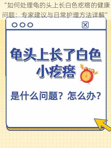 “如何处理龟的头上长白色疙瘩的健康问题：专家建议与日常护理方法详解”