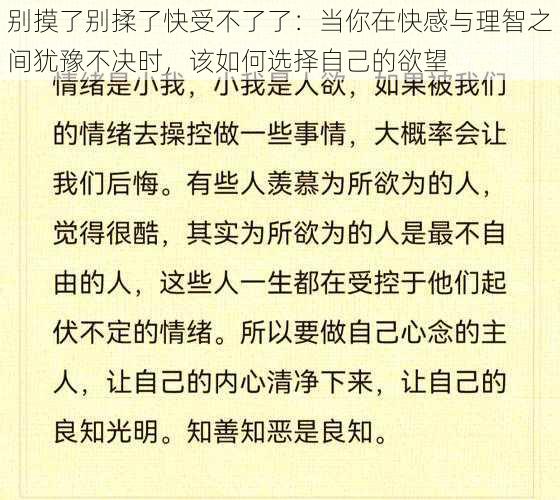 别摸了别揉了快受不了了：当你在快感与理智之间犹豫不决时，该如何选择自己的欲望