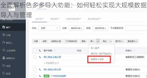 全面解析色多多导入功能：如何轻松实现大规模数据导入与管理