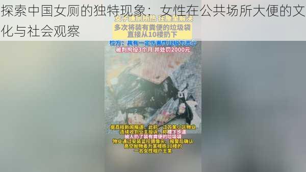 探索中国女厕的独特现象：女性在公共场所大便的文化与社会观察