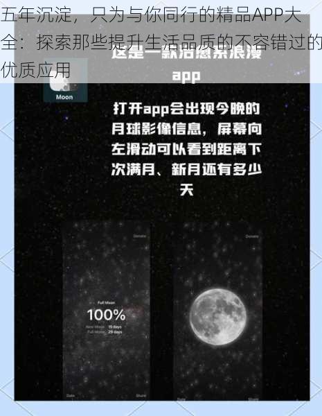 五年沉淀，只为与你同行的精品APP大全：探索那些提升生活品质的不容错过的优质应用