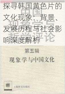 探寻韩国黄色片的文化现象：背景、发展历程与社会影响深度解析