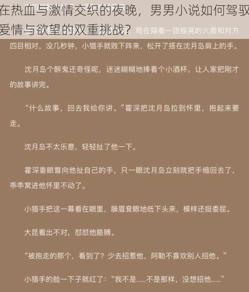 在热血与激情交织的夜晚，男男小说如何驾驭爱情与欲望的双重挑战？