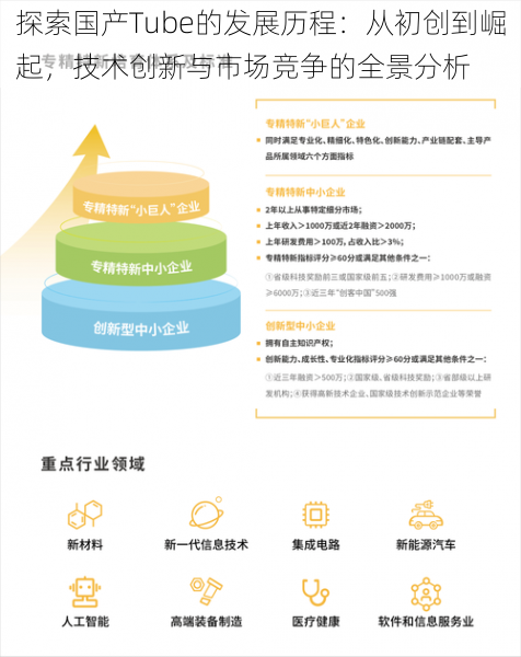 探索国产Tube的发展历程：从初创到崛起，技术创新与市场竞争的全景分析