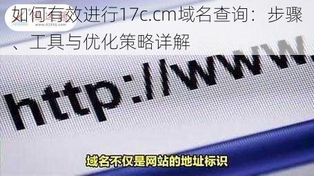 如何有效进行17c.cm域名查询：步骤、工具与优化策略详解