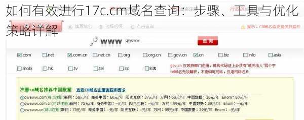 如何有效进行17c.cm域名查询：步骤、工具与优化策略详解