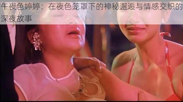 午夜色婷婷：在夜色笼罩下的神秘邂逅与情感交织的深夜故事