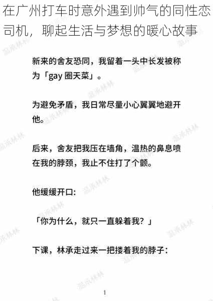 在广州打车时意外遇到帅气的同性恋司机，聊起生活与梦想的暖心故事