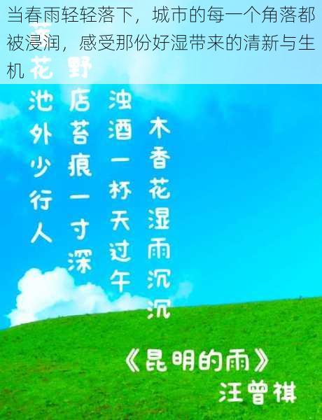 当春雨轻轻落下，城市的每一个角落都被浸润，感受那份好湿带来的清新与生机