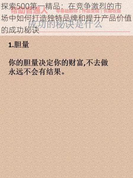 探索500第一精品：在竞争激烈的市场中如何打造独特品牌和提升产品价值的成功秘诀