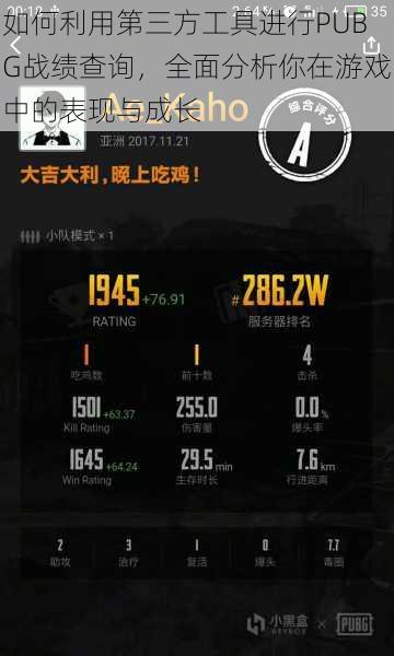 如何利用第三方工具进行PUBG战绩查询，全面分析你在游戏中的表现与成长