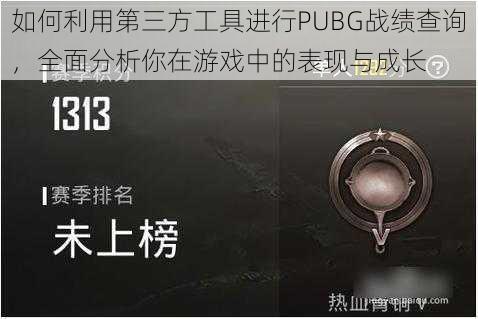 如何利用第三方工具进行PUBG战绩查询，全面分析你在游戏中的表现与成长