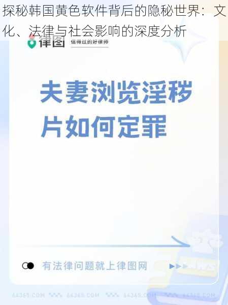 探秘韩国黄色软件背后的隐秘世界：文化、法律与社会影响的深度分析