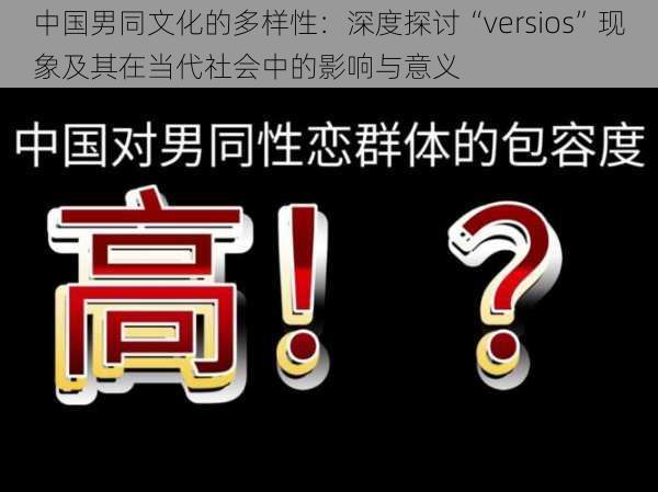 中国男同文化的多样性：深度探讨“versios”现象及其在当代社会中的影响与意义