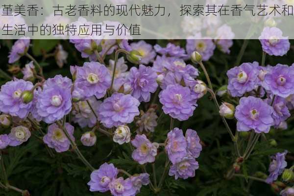 堇美香：古老香料的现代魅力，探索其在香气艺术和生活中的独特应用与价值