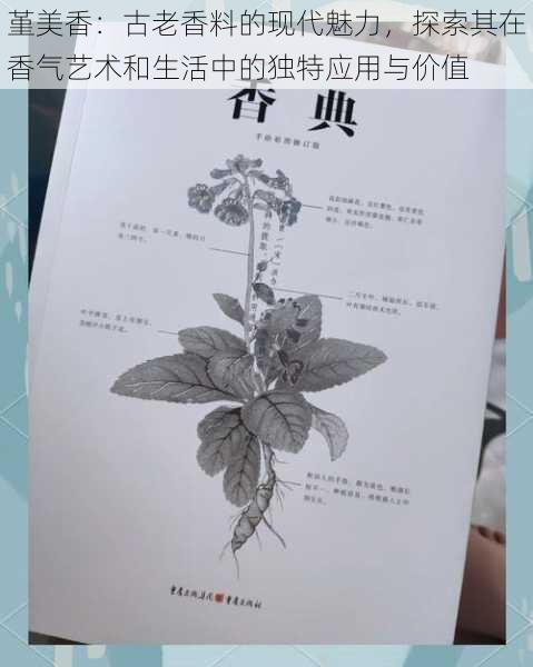 堇美香：古老香料的现代魅力，探索其在香气艺术和生活中的独特应用与价值