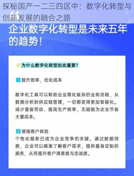 探秘国产一二三四区中：数字化转型与创新发展的融合之路