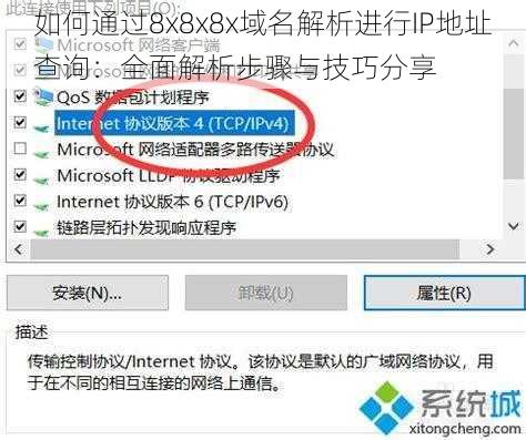 如何通过8x8x8x域名解析进行IP地址查询：全面解析步骤与技巧分享