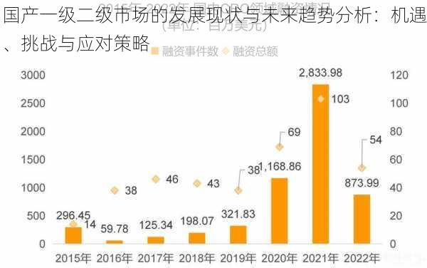 国产一级二级市场的发展现状与未来趋势分析：机遇、挑战与应对策略