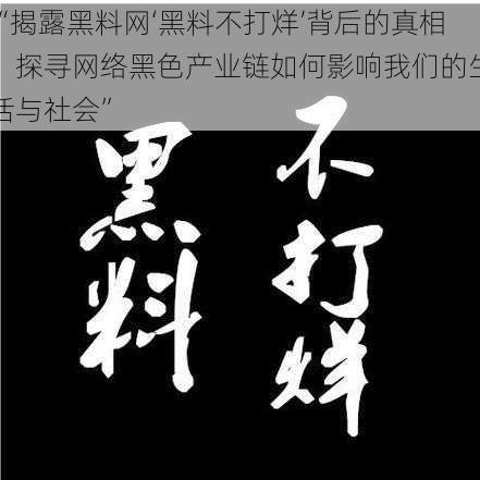 “揭露黑料网‘黑料不打烊’背后的真相，探寻网络黑色产业链如何影响我们的生活与社会”