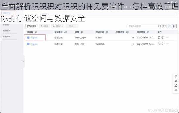 全面解析积积积对积积的桶免费软件：怎样高效管理你的存储空间与数据安全