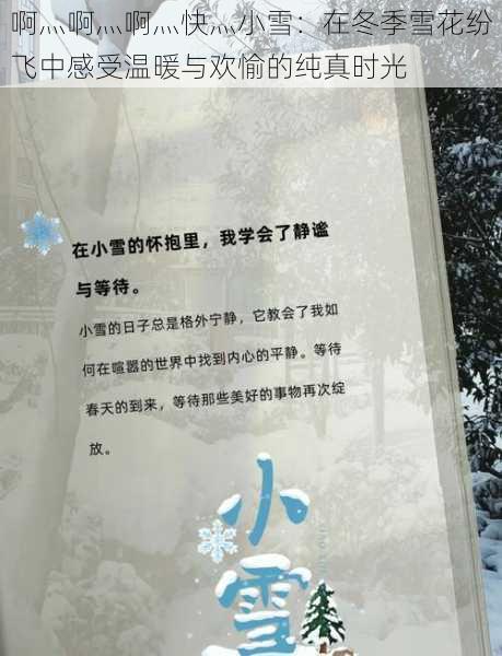 啊灬啊灬啊灬快灬小雪：在冬季雪花纷飞中感受温暖与欢愉的纯真时光