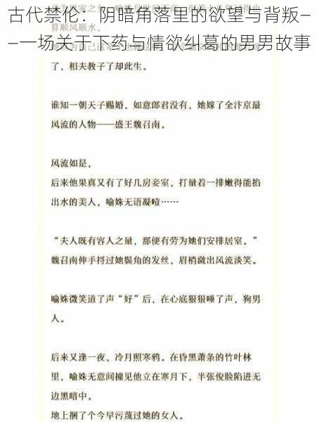 古代禁伦：阴暗角落里的欲望与背叛——一场关于下药与情欲纠葛的男男故事