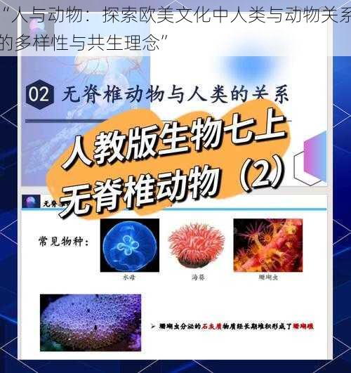 “人与动物：探索欧美文化中人类与动物关系的多样性与共生理念”