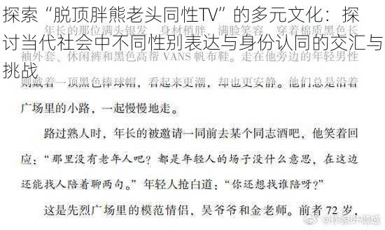 探索“脱顶胖熊老头同性TV”的多元文化：探讨当代社会中不同性别表达与身份认同的交汇与挑战