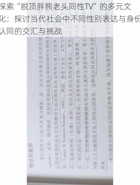 探索“脱顶胖熊老头同性TV”的多元文化：探讨当代社会中不同性别表达与身份认同的交汇与挑战