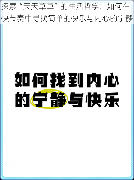 探索“天天草草”的生活哲学：如何在快节奏中寻找简单的快乐与内心的宁静