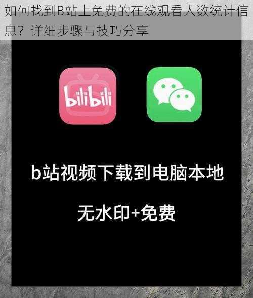 如何找到B站上免费的在线观看人数统计信息？详细步骤与技巧分享