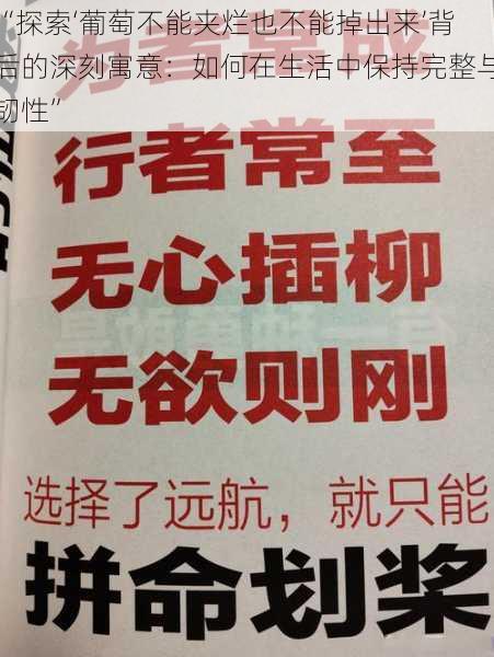 “探索‘葡萄不能夹烂也不能掉出来’背后的深刻寓意：如何在生活中保持完整与韧性”