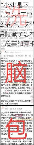 “小sb是不是又欠c了那么多水，这背后隐藏了怎样的故事和真相？”