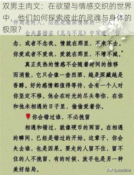 双男主肉文：在欲望与情感交织的世界中，他们如何探索彼此的灵魂与身体的极限？