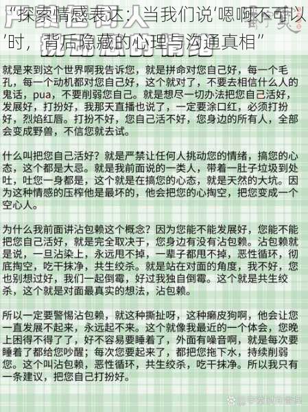 “探索情感表达：当我们说‘嗯啊不可以’时，背后隐藏的心理与沟通真相”