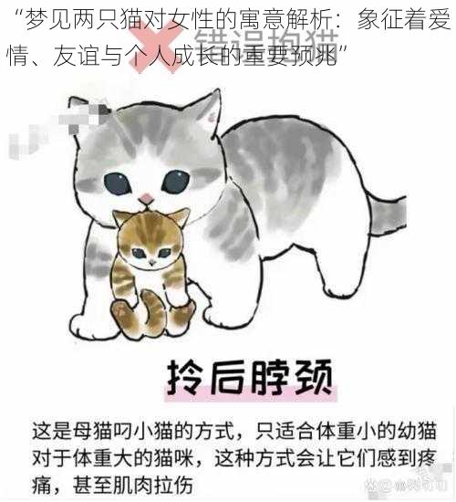 “梦见两只猫对女性的寓意解析：象征着爱情、友谊与个人成长的重要预兆”