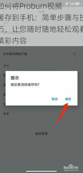 如何将Proburn视频缓存到手机：简单步骤与技巧，让您随时随地轻松观看精彩内容