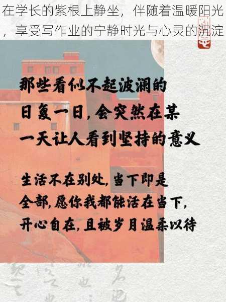 在学长的紫根上静坐，伴随着温暖阳光，享受写作业的宁静时光与心灵的沉淀