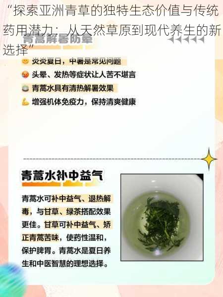 “探索亚洲青草的独特生态价值与传统药用潜力：从天然草原到现代养生的新选择”