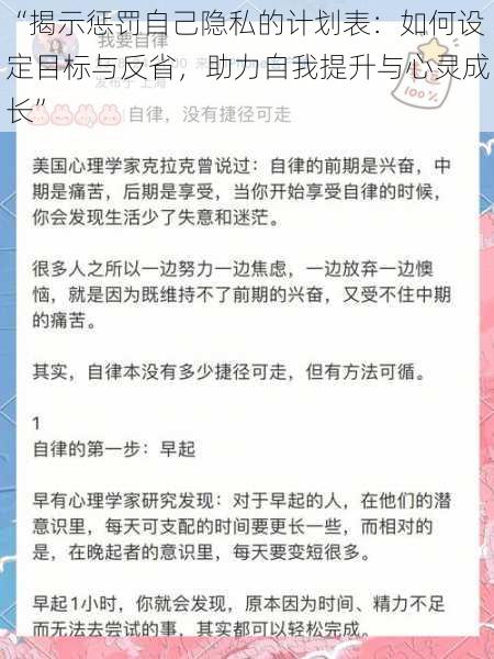 “揭示惩罚自己隐私的计划表：如何设定目标与反省，助力自我提升与心灵成长”