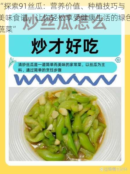 “探索91丝瓜：营养价值、种植技巧与美味食谱，让你轻松享受健康生活的绿色蔬菜”